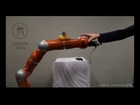 Artificial Robot Nervous System to Teach Robots How to Feel Pain