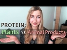 Animal vs Plant Protein: Which Has More? | Best Vegan Protein Sources