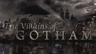 'Gotham' Cast Reveals Their Dream Villains
