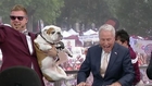Corso's Pick At Mississippi State With Jonathan Papelbon  - ESPN