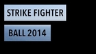 Strike Fighter Ball 2014