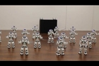 Aldebaran Robotics Nao Robot Show