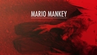 THE WORLD IS NOT OVER #2  - Mario Mankey -