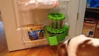 Dog Treat Feeder