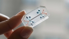 Microdevices that mimic human organs could replace animal testing