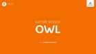 Citroën - Radio Spot / Owl