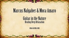 Marcus Nalgaber - The corner of the blue frogs - Guitar in the nature - Healing deep relaxation