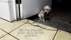 BE THE PERSON YOUR DOG THINKS YOU ARE