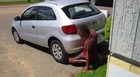 MAN FUCKING CAR EXHAUST