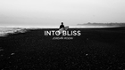 Into Bliss by David & Douglas