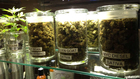 Legal weed no a-pot-calypse: Colorado governor
