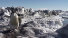 Antarctica: A Year on Ice Teaser Trailer 1