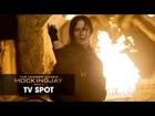 The Hunger Games: Mockingjay Part 2 Official TV Spot – “Her Story”