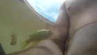 Fish Jumps Up And Bites Guy's Nipple