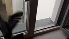 Burglar Pigeon Leaves Behind a Surprise