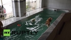 Brazil: It's a dog's life at canine kindergarten in Sao Paulo