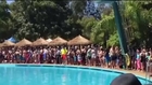Snake removed from pool after taking a dip at Adventure World