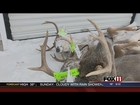 ‘Almost apocalyptic’ conditions for U.P. deer hunt