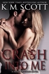 Crash Into Me Book #1 in The Heart of Stone Series