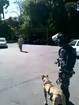 Dont Mess With Police Dogs