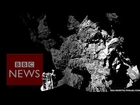 Rosetta Comet Landing: Philae send first image of 67P