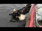 Bald Eagle Rescue - Full Video