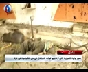 First video images of Zionist crimes in Gaza's Shujaiyya