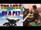 Rainbow Bridge for Lost Dogs & Cats ~ Pianist Don Puryear