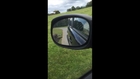 Ostrich Tries to Open Car Door ..... Feathered Road Rage ?