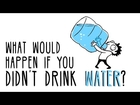 What would happen if you didn’t drink water? - Mia Nacamulli
