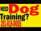 Dog Training| Therapy Dog Training| Service Dog Training| Search Rescue Dog Training|Houston TX