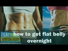 Flat Belly Overnight Template Free Download - Is Flat Belly Overnight Template Work?