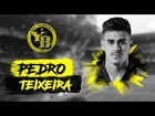 Pedro Teixeira, Young Boys' new signing
