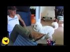 Funny Videos   Funny Dogs   Videos Pranks   Best Funny Pranks Compilation 2014