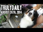 TrulyDaily - Happy National Dog Day!! - August 26th, 2014