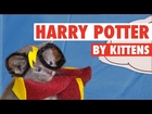 All 8 Harry Potter Movies By Kittens In 7 Minutes