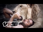 The Illegal Big Cats of Instagram