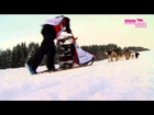 Dog rescue videos The Toughest Dog Sled Race in the World   Part 2   Extraordinary Dogs