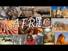 Nafki Creations -AFRICA THE PEOPLES CONTINENT