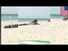 Public sex: Couple caught on video having sex on beach in Cortez beach in Bradenton, Florida