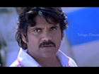 Power Action - || 80 || - Best Action Scenes from Telugu Movies