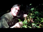 Animal Jam - Dr. Brady Barr: Carnivorous Plant
