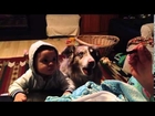 Mom Offers Baby A Treat If He Says “Mama,” Dog Says It First