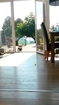 Silly Dog Won't Come Inside Until Owners Open Invisible Door