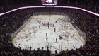 Teddy Bear Toss After Goal Scored In Calgary Hockey Game - Charity