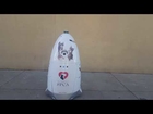 Sidewalk Robot SFSPCA