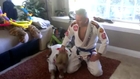 BLACK BELT INSTRUCTOR teaches *MMA* = with his PITBULL =