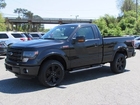 2014 Ford F-150 FX4 Tremor Start Up, Exhaust, and In Depth Review