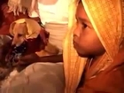 Little Hindu Girl Forced To Marry Dog