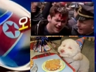 North Korean TV compares situation of dogs and humans in USA
